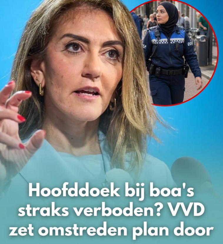 VVD wil wettelijk verbod op hoofddoek, keppeltje en kruisje voor boa’s: dit verandert er mogelijk